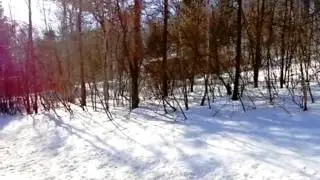 Homes for Sale - 9539 Jacobson Rd - New Lisbon, WI 53950 - Lisa Kuhl