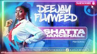 Shatta Dancehall Mix  2025 BY DJ FLYWEED