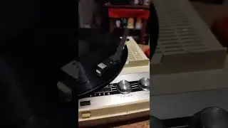 La bamba!👍