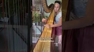 I need to try this one on my electric harp next 🤘🏻 #harp #smallmusic