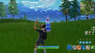 Pay respect to Llamas Fortnite