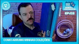 Meu Jeito de Organizar as Coleções de Pokémon TCG | Dicas Úteis pra Qualquer Colecionador
