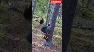 Real Security Footage: Man Escapes Bear Attack! 😨🔥 #wildlife #bear #cctv #shorts  #horror #animals