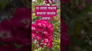 Jaduya porle rajker borkot hoy#flowers #bangla #rose #youtubeshorts #dua #quran #বাংলাওয়াজ