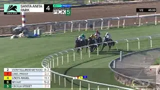 Cecilia Street wins Race 4 on Friday, January 9 at Santa Anita Park