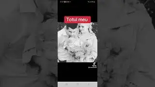 Totul meu 