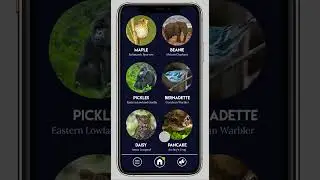 Returning User - Wild Stories App Walkthrough