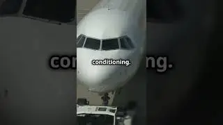 Why Are Airplanes Painted White  ✈️