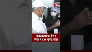 Bhupendra Patel: वाइल्डलाइफ केयर सेंटर में CM भूपेंद्र पटेल #aajtak #shorts #latestnews #viralshorts