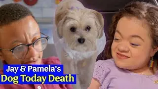 SAD NEWS💔! Jay & Pamela's Dog Today's Death | Jay Manuel Police Report Against Driver | Jay & Pamela