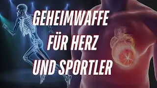 Was dir &Auml;rzte nicht sagen: RIBOSE: Dieser Zucker gibt dir Energie