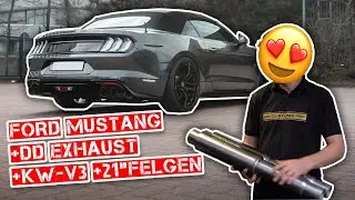 DD CUSTOMS - Ford Mustang Umbau mit 21