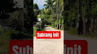 #короткоевидео #солнечныйдень