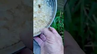Making Beeswax Fire Starters #shorts