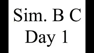 Sim. B C Day 1