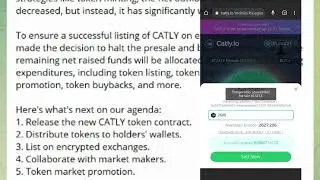 Catly Lastest Update
