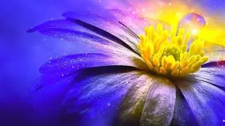 Calm Flute Solo &bull; Relax Here and Sleep with Instrumental Sounds of Serenity &bull; Meditation