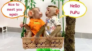 Monkey Puka is happy to see PuPu Monkey again