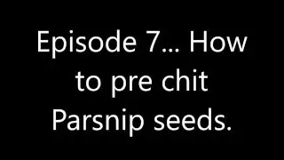 Episode 7   How to pre-chit Parsnip seeds.....