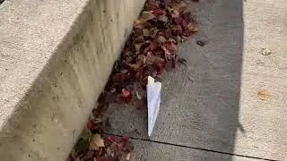 Collaboration Mini Project 4: Paper Rocket Ship Shenanigans 