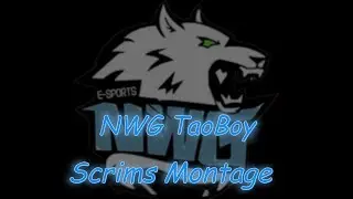 NWG TaoBoy is the best T2 Chinese player - NWG TaoBoy Scrims montage