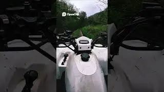 Full Throtle Through the Wild#Shorts #Quad #ATV #OffRoad #POV #Mountains #Forest #Nature #Adrenaline
