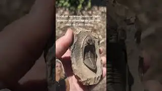 The mysteries of Egypt #bizarre #sinister #youtubeshorts
