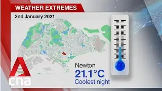 2021 was Singapore's second wettest year since 1980: Met Service