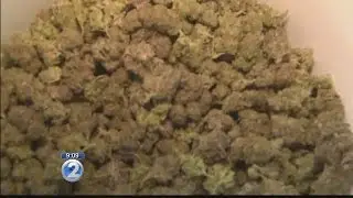State implements medical marijuana computer tracking system