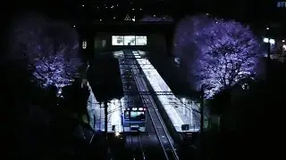 弥生台の夜桜ライトアップ＆そうにゃんトレイン４代目