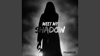 Meet My Shadow