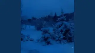 pacified disorder