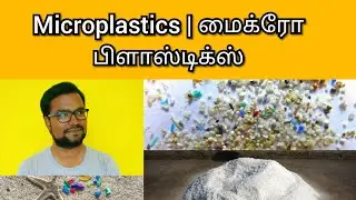 Upsc tamil | tnpsc tamil | microplastics | food web | food chain tamil |