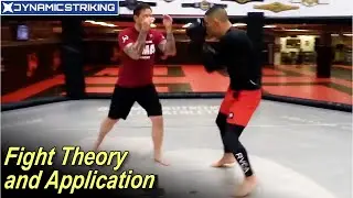 Fight Theory and Application by Brandon Gibson