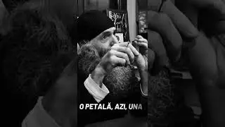 ASCULTĂ CE SPUNE PĂRINTELE PIMEN VLAD #shorts #bogdanblog #ortodox #credinta #viral #foryou