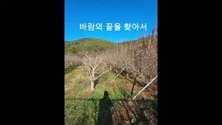 바람의 끝을 찾아서 