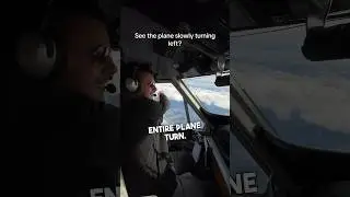This pilot turns airplane by sticking hands out the window! ❤️😱