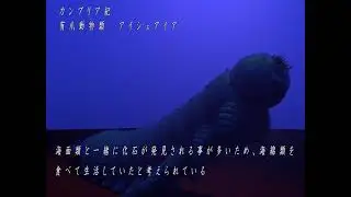 アイシェアイア　Aysheaia