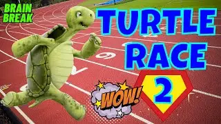 TURTLE RACE 2! EXERCISE BRAIN BREAK FOR KIDS | MOVEMENT ACTIVITY | KIDS VIDEOS FOR KIDS