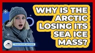 Why Is The Arctic Losing Its Sea Ice Mass?