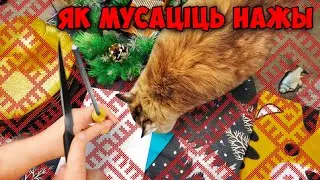 Як ПРАВІЛЬНА мусаціць нож і не адчыкаць сабе святочны настрой 2026  #беларускаямова #пабеларуску