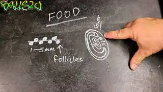 SLUGS/FOOD AND MUCH MORE