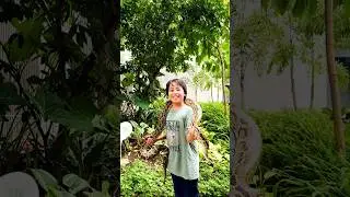PHILIPPINE BIODOME | Manila Ocean Park, Ermita, Manila