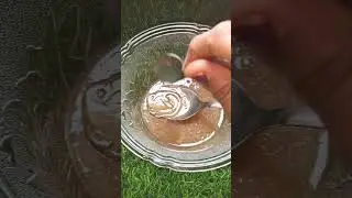Anti aging night cream for youthful, flawless, glowing skin 💕💕👍🏻👍🏻#shortvideo