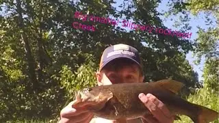 Big Smallmouth Bass! | Slippery Rock Creek | Wolf Creek | Fishing Western Pa