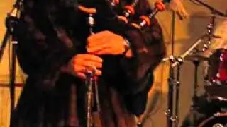 The Plonkers - Maximum Plonkers