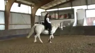Gebisslos reiten - Bitless Bridle, Galopp