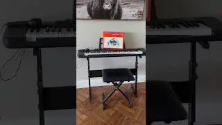 61 key light up keyboard makes learning and playing so much fun