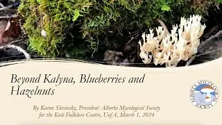 Beyond Kalyna, Blueberries, and Hazelnuts: Where to Find Mushrooms | Karen Slevinsky