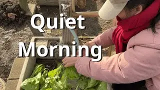 Gentle Life in Japan | A Quiet Morning in the Garden